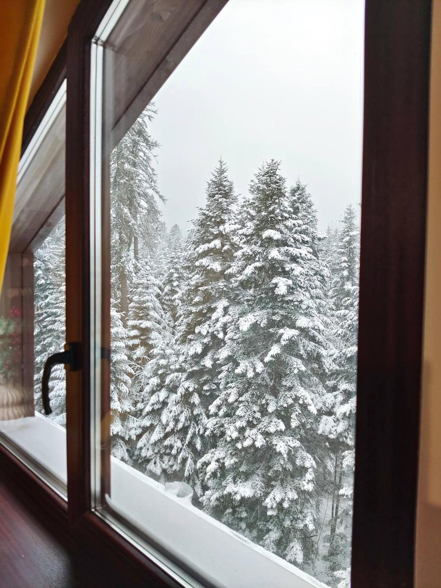 Borovets Dream Studio Exteriér fotografie